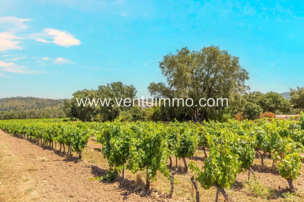 Charming Vineyard Retreat in La Garde-Freinet