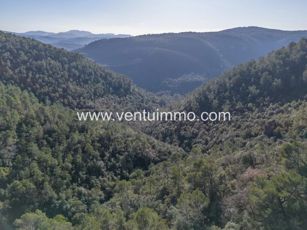 TERRAIN 1371m2