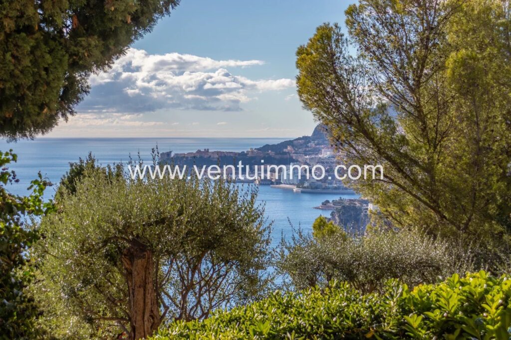 Superbe duplex avec vue panoramique sur la Méditerrannée