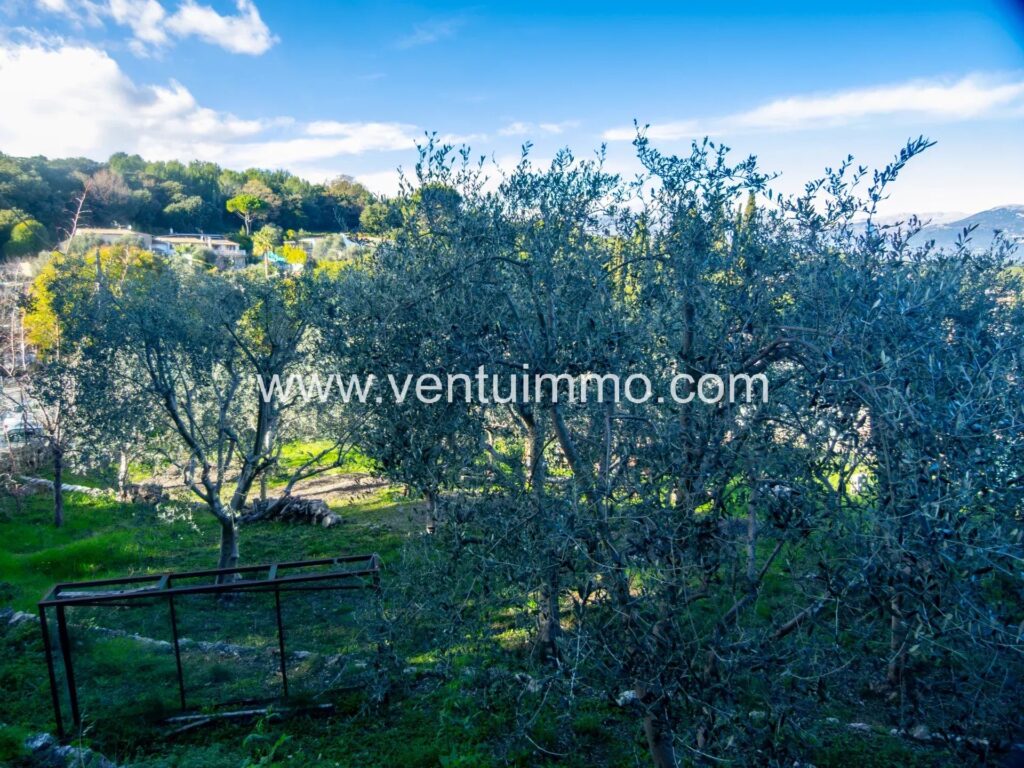 Exceptionnel sur les hauteurs de Vallauris