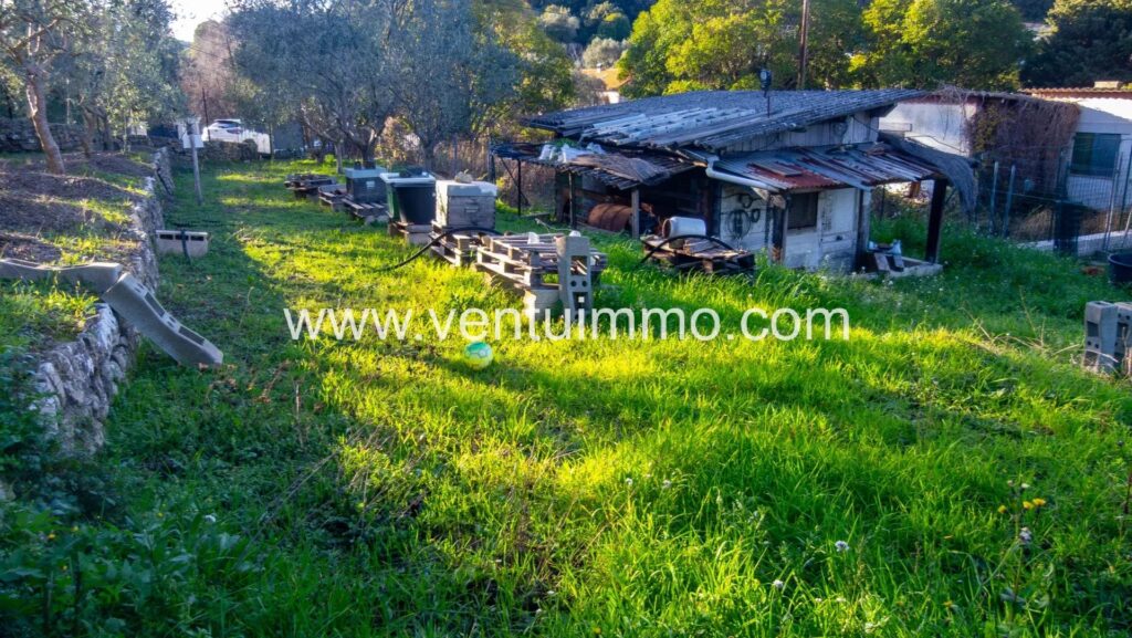 Exceptionnel sur les hauteurs de Vallauris